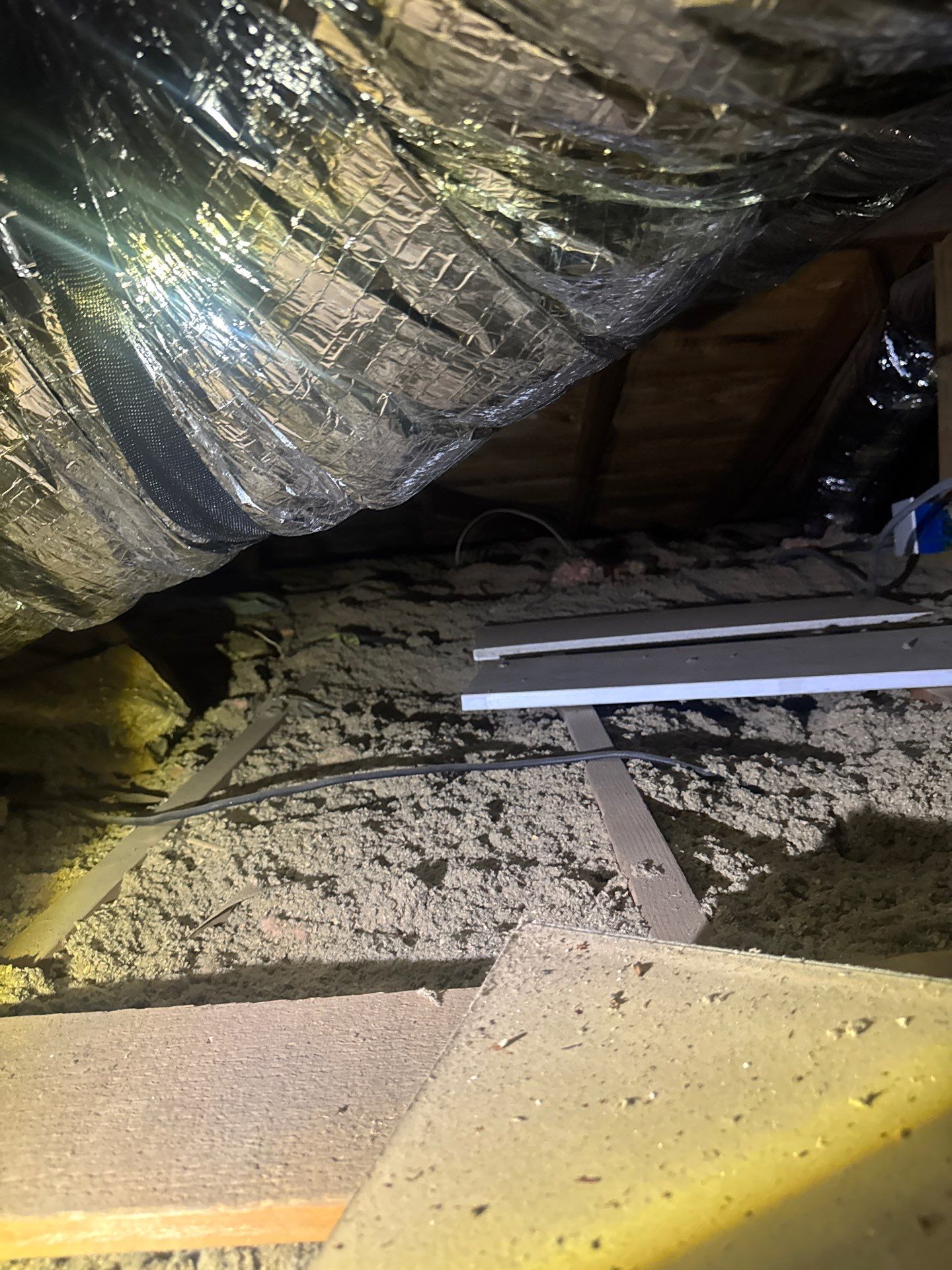 Attic Insulation Inspection